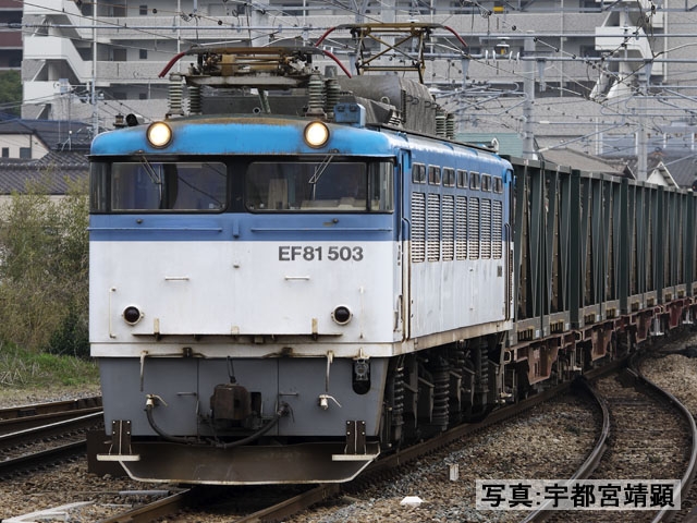 鉄道模型 :: Nゲージ車両 :: 機関車 :: TOMIX（トミックス）_7144_EF81 